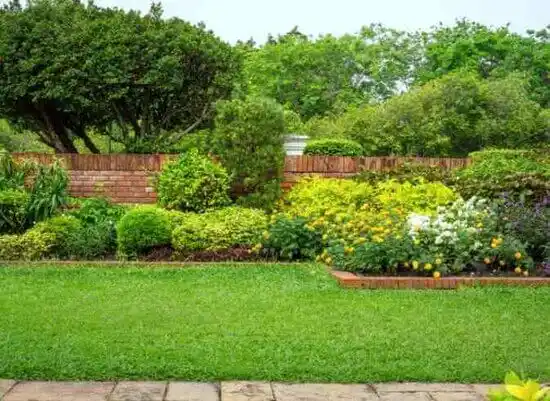 landscaping services Dublin